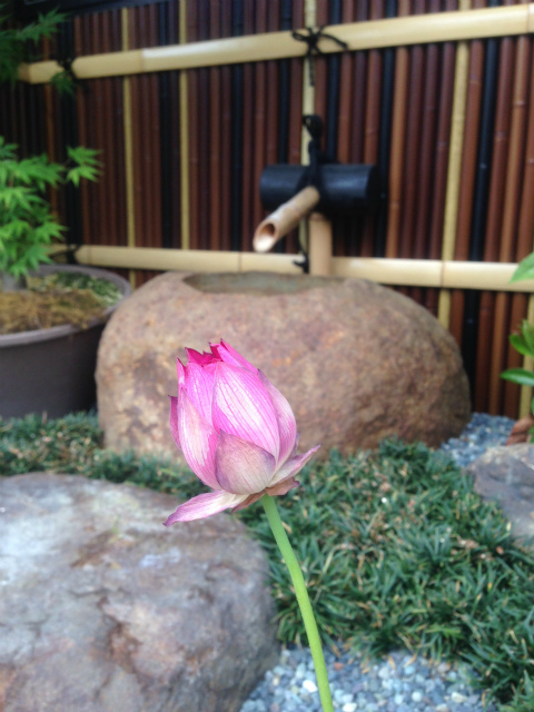 作品集・葉月園